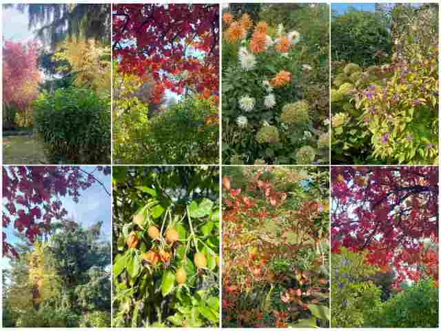 Herbst2026